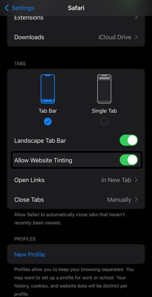 What is "Allow Website Tinting" on iPhone?